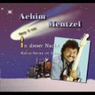 Achim Mentzel - In Dieser Nacht