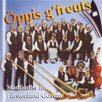 Stadtjodler Im Fürstenland Gossau - Öppis G'freuts