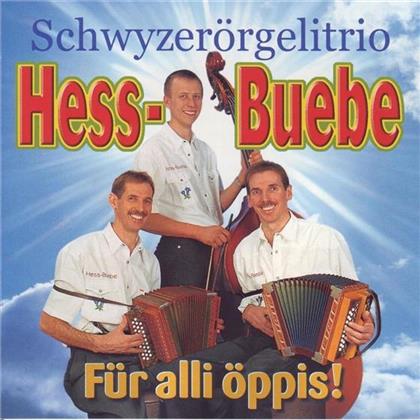 Schwyzerörgeli Trio Hess-Buebe - Für Alli Öppis