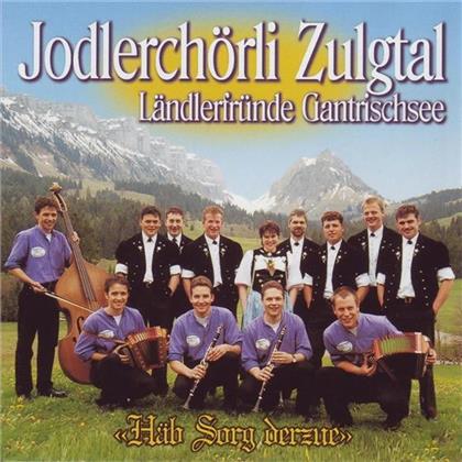 Jodlerchörli Zulgtal - Häb Sorg Derzue