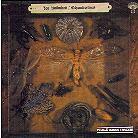 Joy Unlimited - Schmetterlinge