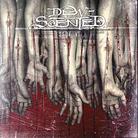 Dew-Scented - Issue 6 (Limited Edition, CD + DVD)