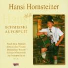 Hansi Hornsteiner - Schmissig Aufgspuit-Solo
