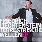 Friedrich Liechtenstein - Terrestrische Wellen
