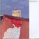 Martha & The Muffins - This Is The Ice Age
