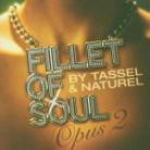 DJ Cam - Fillet Of Soul Opus 2