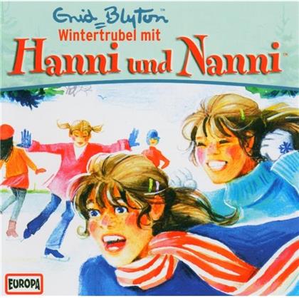 Hanni Und Nanni - 17 Wintertrubel Mit
