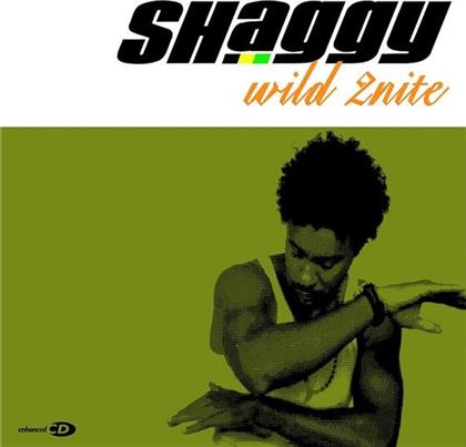 Shaggy - Wild 2Nite