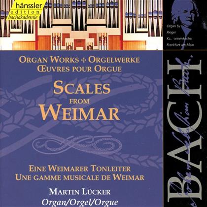 Lücker Martin/Katharinenki & Johann Sebastian Bach (1685-1750) - Scales From Weimar Organ Works