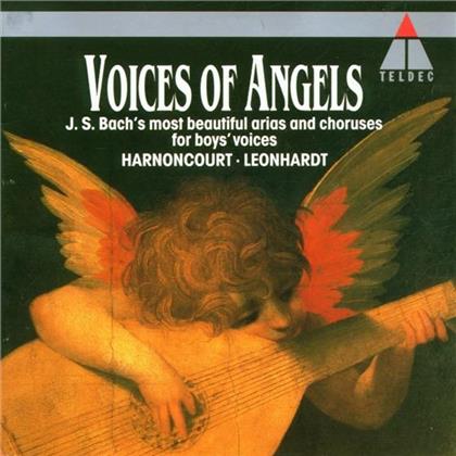 Nikolaus Harnoncourt & Johann Sebastian Bach (1685-1750) - Voices Of Angels