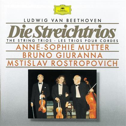 Ludwig van Beethoven (1770-1827), Anne-Sophie Mutter, Bruno Giuranna & Mstislav Rostropovitsch - Streichtrio (2 CDs)