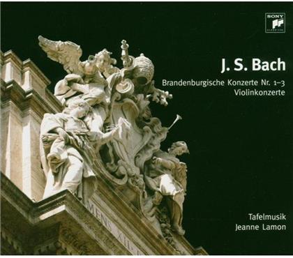 Tafelmusik & Johann Sebastian Bach (1685-1750) - Brandenburgisches Konzert