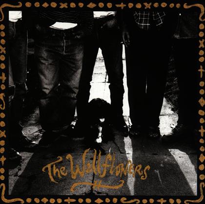 The Wallflowers - ---