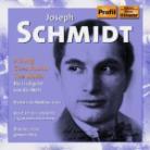 Div Orchester & Josef Schmidt - Ein Lied Geht Um Die Welt (2 CDs)