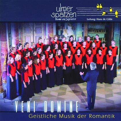 Die Ulmer Spatzen - Veni Domine-Geist.Musik D. Rom