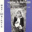 Sophie B. Hawkins - Damn I Wish