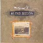 Blind Melon - Best Of - Tones Of Home (CD + DVD)