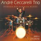 Andre Ceccarelli - Avenue Des Diables Blues