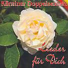 Kärntner Doppelsextett - Lieder Fuer Dich-2005