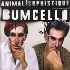Bumcello - Animal Sophistique - France