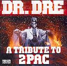 Dr. Dre - A Tribute To 2 Pac