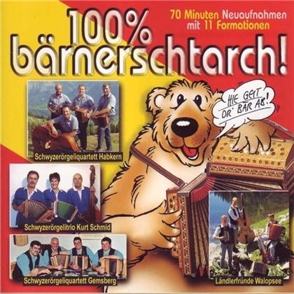 100 Prozent Bärnerstarch - Various