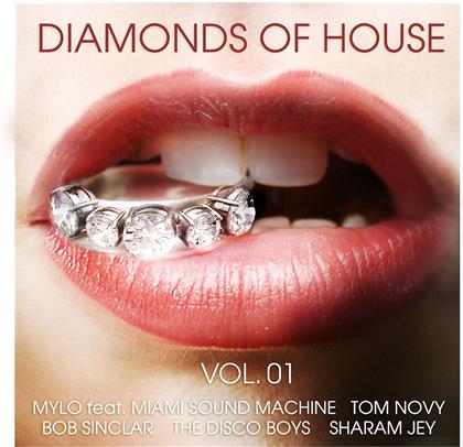 Diamonds Of House - Vol. 1 (2 CDs)
