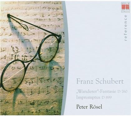 Peter Rösel & Franz Schubert (1797-1828) - Wandererfantasie