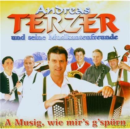 Andreas Terzer - A Musig, Wie Mir's G'spuere