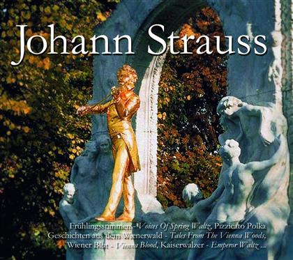 Various & Johann Strauss - Johann Strauss (3 CDs)