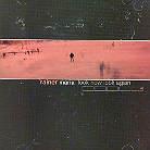 Rainer Maria - Look Now Look Again