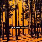 Stephen Fearing - Yellow Jacket