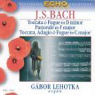 Gabor Lehotka & Johann Sebastian Bach (1685-1750) - Passacaglia & Fuge Bwv582,590,564,540