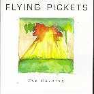 The Flying Pickets - Warning