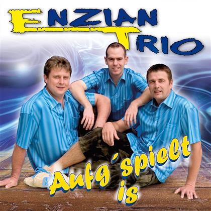 Enzian Trio - Aufg Spielt Is
