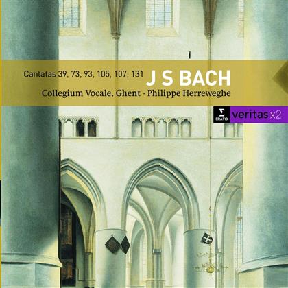 Collegium Vocale & Johann Sebastian Bach (1685-1750) - Kantate 39,73,93 (2 CDs)