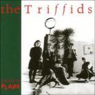 The Triffids - Treeless Plain (Remastered)