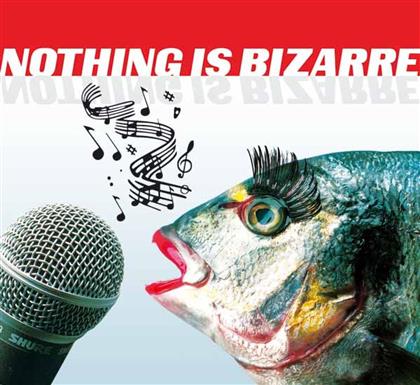 Nothing Is Bizarre - Various
