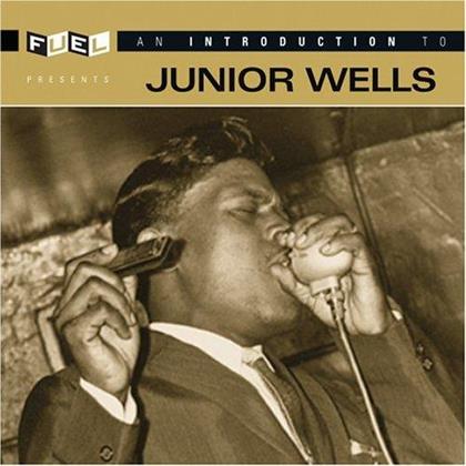 Junior Wells - An Introduction To