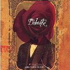 Devotchka - Curse Your Little Heart