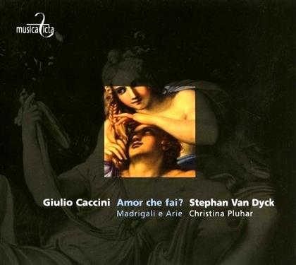 Van Dyck Stephan/Pluhar Christina & Giulio Caccini - Amor Che Fai?/Nuove Musica Di G.C.