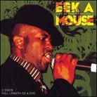 Eek-A-Mouse - Live In San Francisco (CD + DVD)