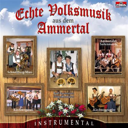 Echte Volksmusik Aus Dem Ammertal - Various