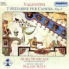 Aura Musicale (Historische Instrumente) & Giuseppe Valentini - Bizzarrie Per Camera Op2/1-6