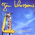 Gin Blossoms - Major Lodge Victory