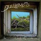 The Guillemots - Through The Window Pane