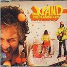 The Flaming Lips - The W.A.N.D.