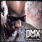 DMX - Lord Give Me A Sign