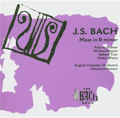 Palmer Felicity, Watts Helen & Johann Sebastian Bach (1685-1750) - Messe Bwv232 In H-Moll (2 CD)