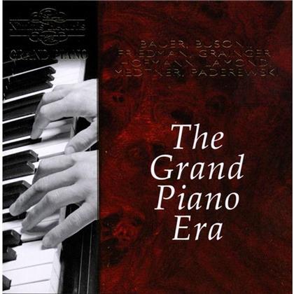 Friedman, Hofmann, Lamond & Various - Grand Piano Era